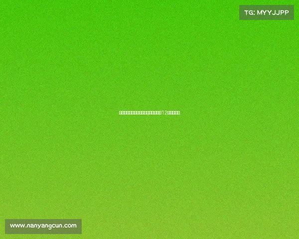 阿德耶米：不后悔留队并致敬多特效力12年的罗伊斯